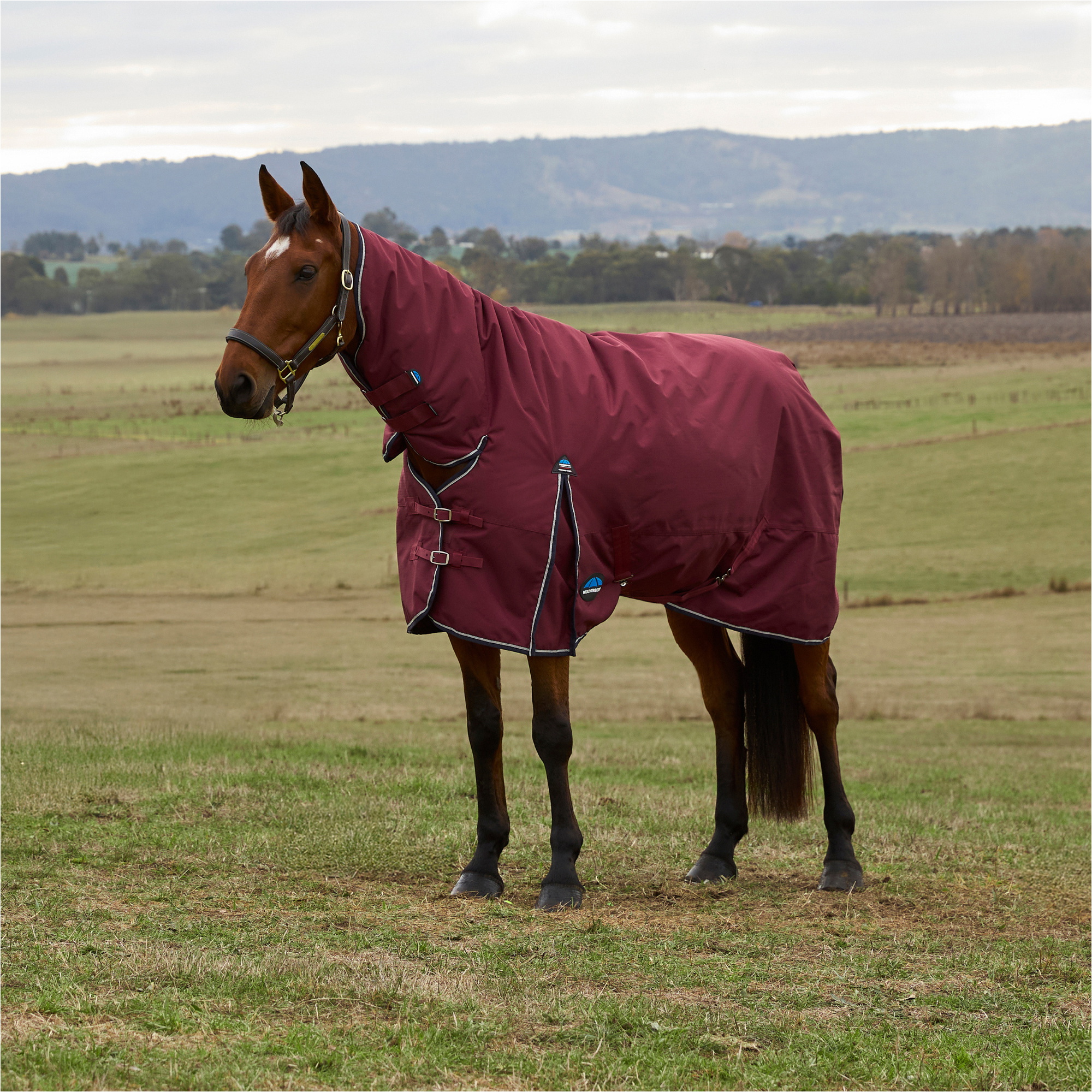 2025 WeatherBeeta Comfitec Prelim Turnout Combo 1029031 - Burgundy